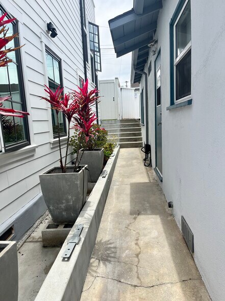 Sideyard - 416 Longfellow Ave
