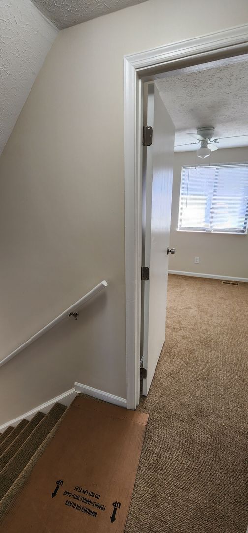 Building Photo - Oldham County Beauty!  Completely Renovated!  ALL NEWer Appliances!  ALL NEWer Flooring & Paint! ...