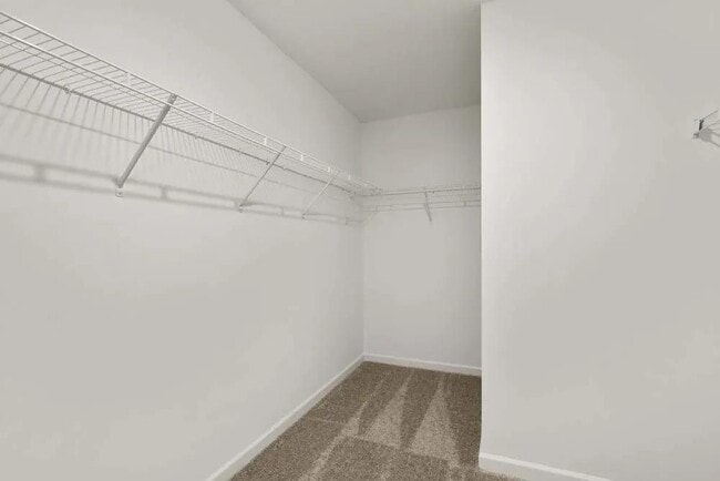Building Photo - 2076 Boxwood Cir