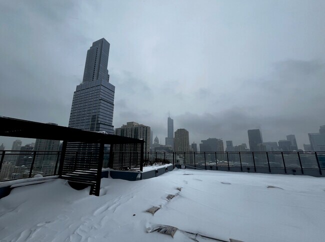 Building Photo - 833 N Clark St