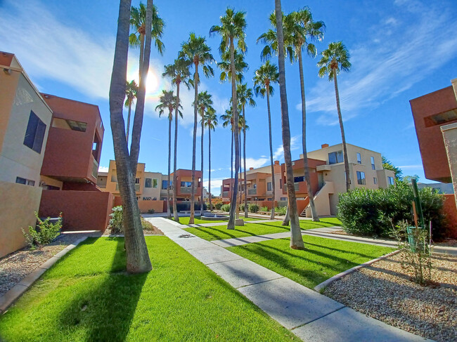 Palm trees and blue skies are right outside the door! - 3500 N Hayden Rd