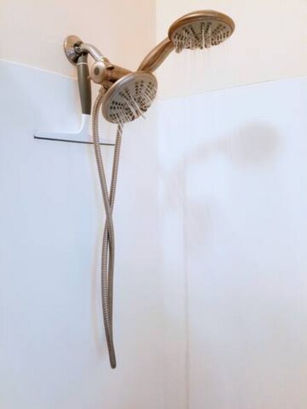 Luxurious Shower Head - 170 Mansfield St
