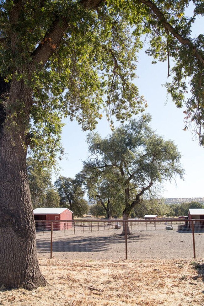 Building Photo - Lake California Home with 2 Car Garage and RV Parking- Available for Move In! $300 Move in Special!!