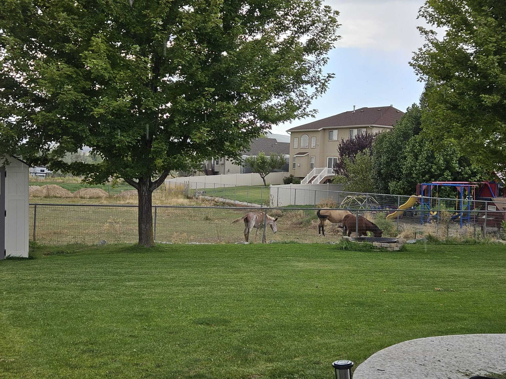 Building Photo - 1879 W Colony Pointe Dr