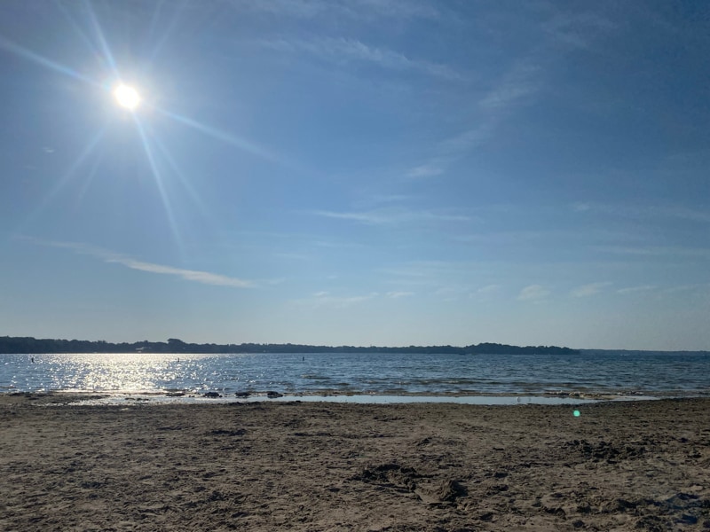 Building Photo - 1709 Whitaker St