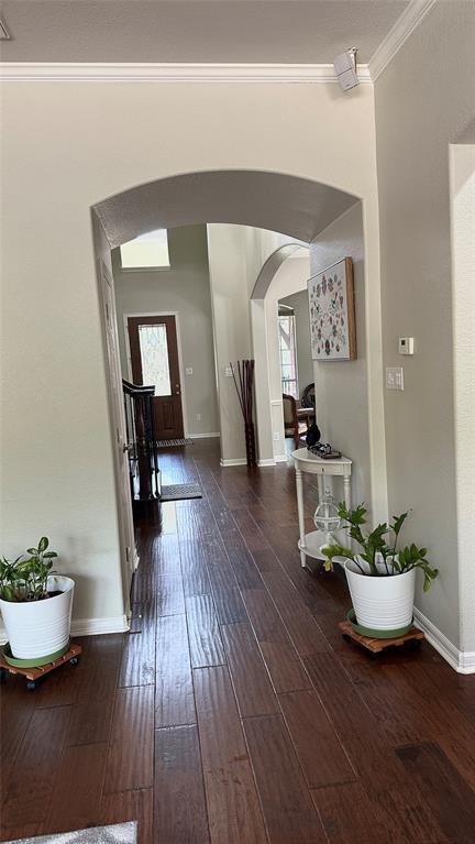 Building Photo - 1125 Castle Path