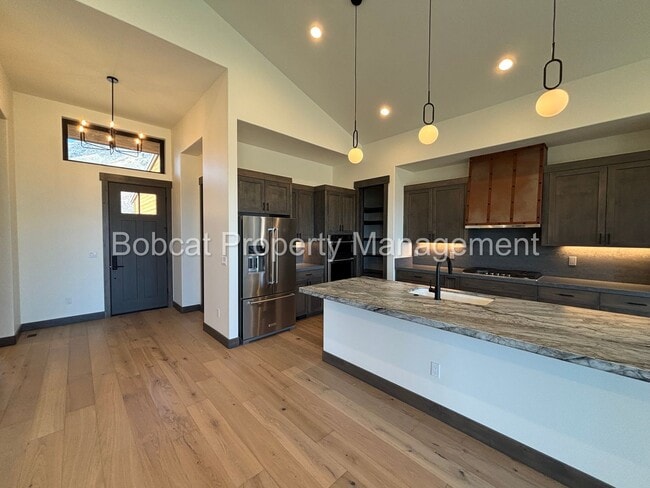 Building Photo - Brand New, Mountain Modern Home on Genoa R...