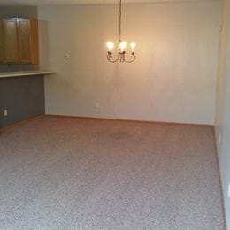 Dining room but LVP not carpet - 13040 Europa Trail Way N