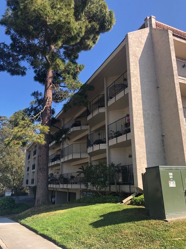 Building Photo - 870 Cortez St