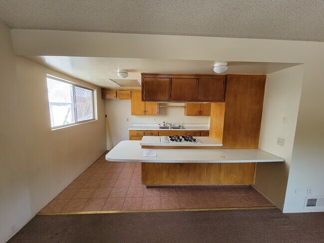 Building Photo - 564 Oleander Dr