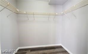 Building Photo - 507 Fiddlehead Ave