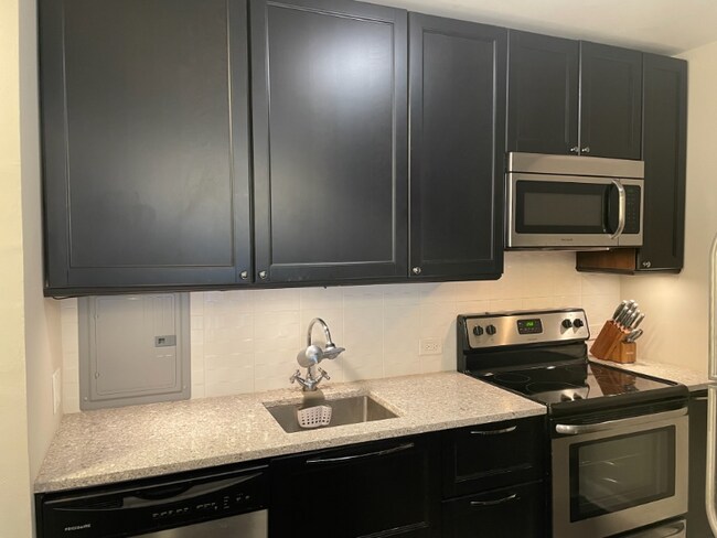 Building Photo - 535 N Michigan Ave