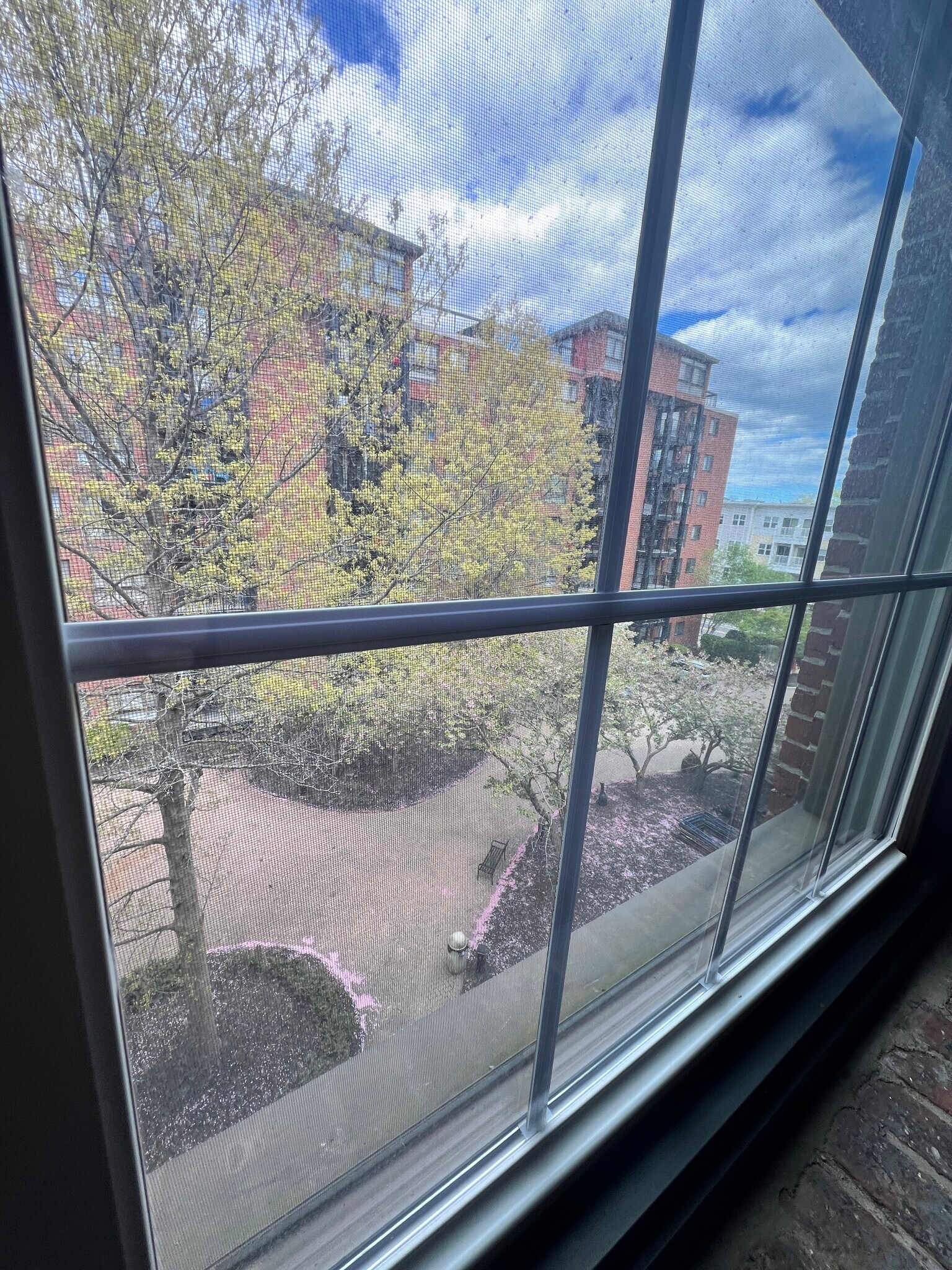 View looking right - 50 Rantoul St