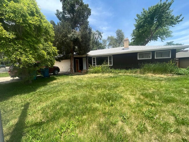 Primary Photo - Fantastic Home in Northwest Fort Collins