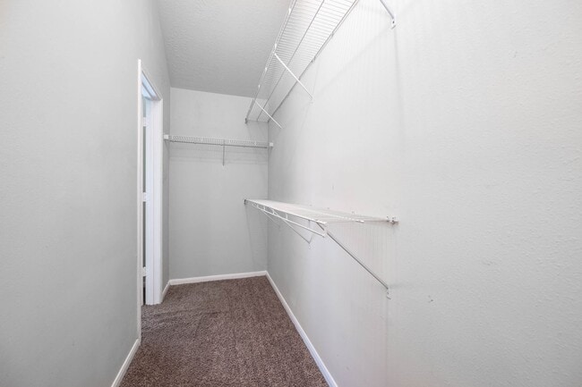 Building Photo - 927 Hannah Falls Ln