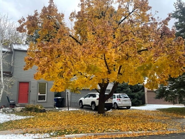 Primary Photo - 3 Bedroom Townhouse Minutes from Canyons