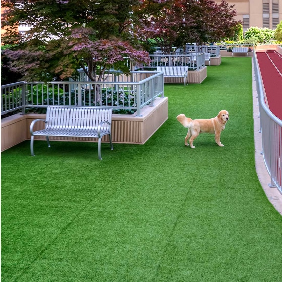 Building Photo - 601 N State St