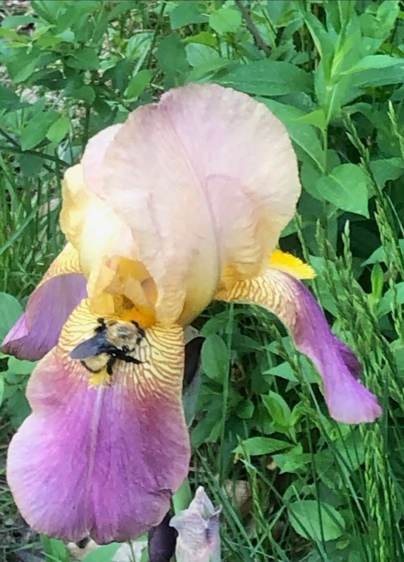 Building Photo - 2934 S Zurich Ct