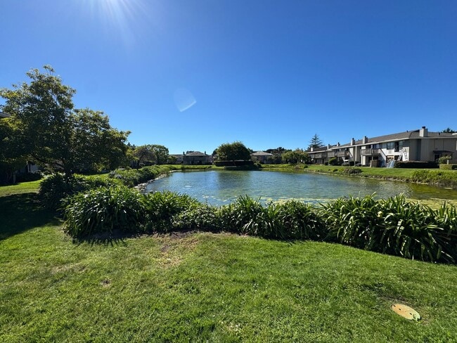 Building Photo - Rio Road Condo