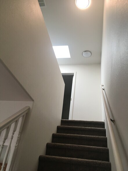 Skylight - 809 Scotch Pine Dr