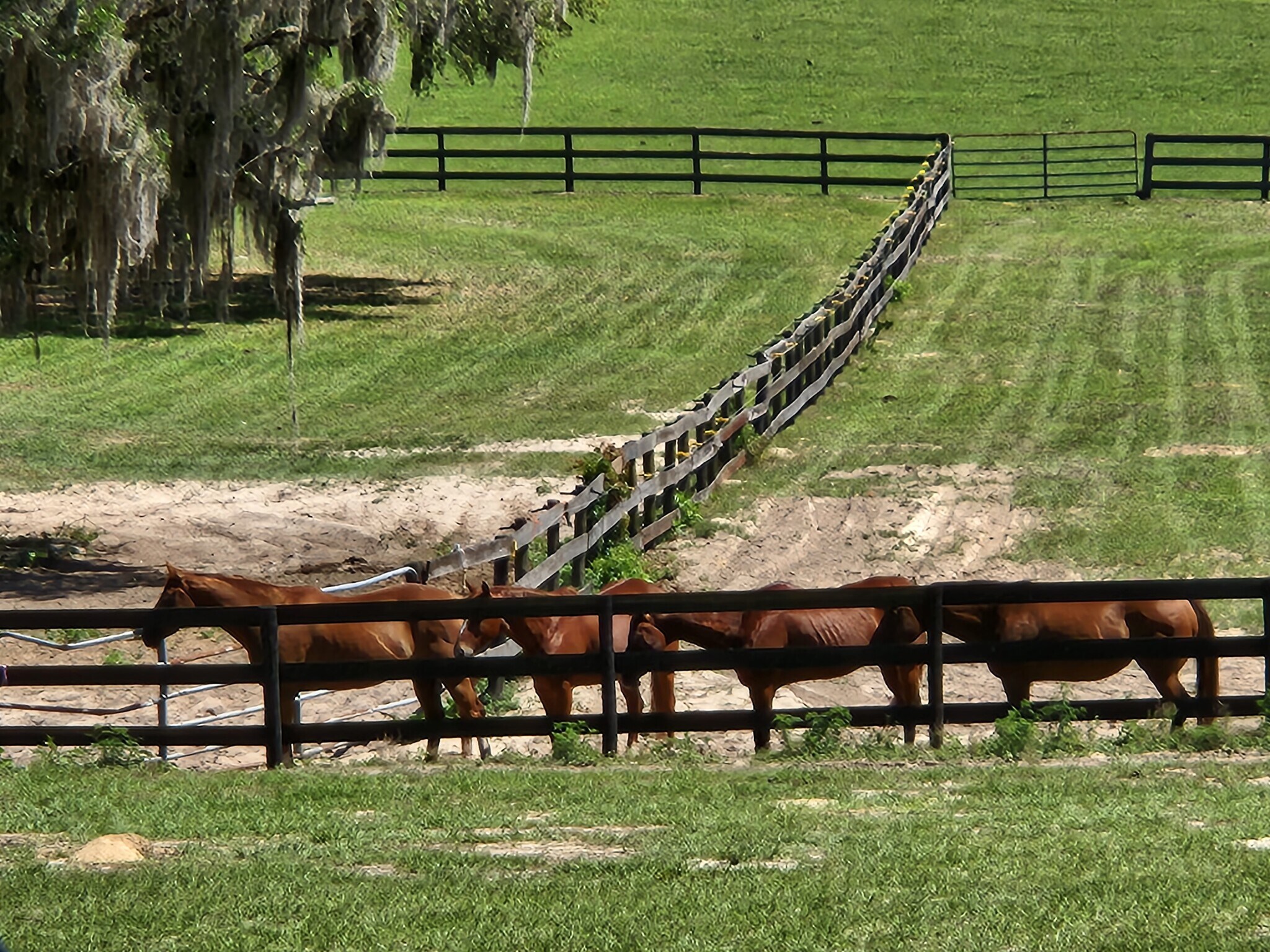 This property is 20 acres, ends at last fence. 500acres begins, we have permission to ride out there - 5212 Bertsville Rd