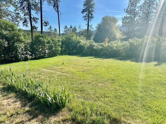 Building Photo - Charming 1 bed 1 bath Long Lake Cabin Retreat