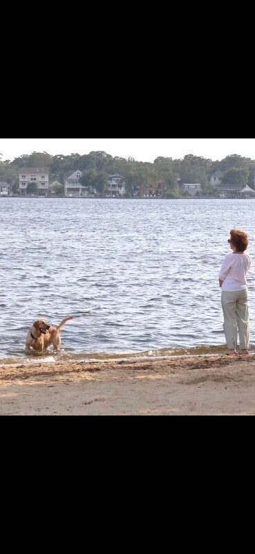 Building Photo - 17 4th St