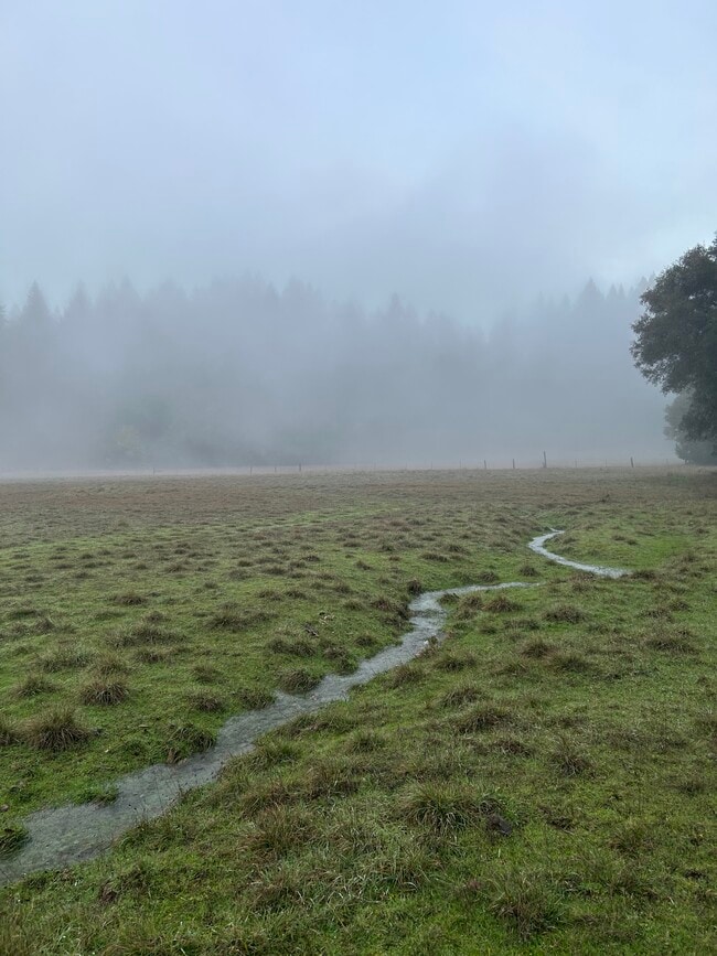 Building Photo - 41500 Wilderness Lodge Rd