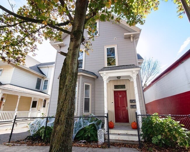 Primary Photo - 30 Thornley St