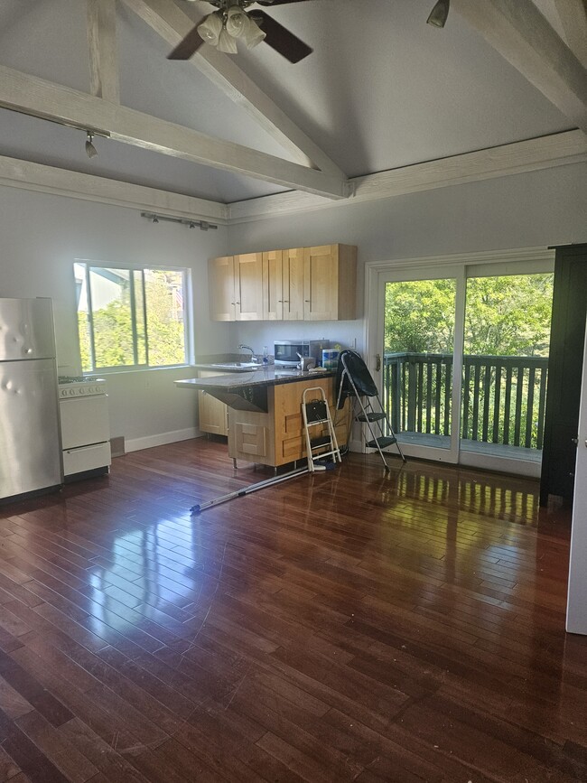 Kitchen/Living Room - 17 Albion St