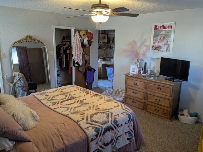 Building Photo - 3 Bed 2 Bath Home - Park Access