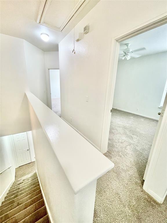 Building Photo - 2419 Allred Dr