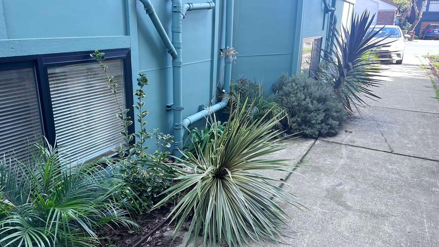 Building Photo - 1301 Adeline St