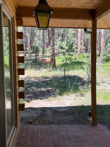 Building Photo - 615 Congressional Dr