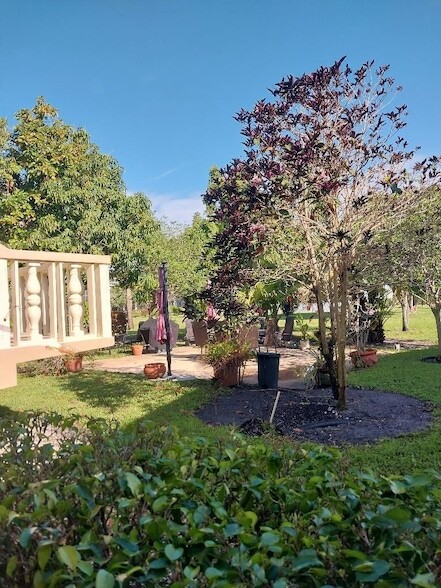 Building Photo - 361 Windsor N