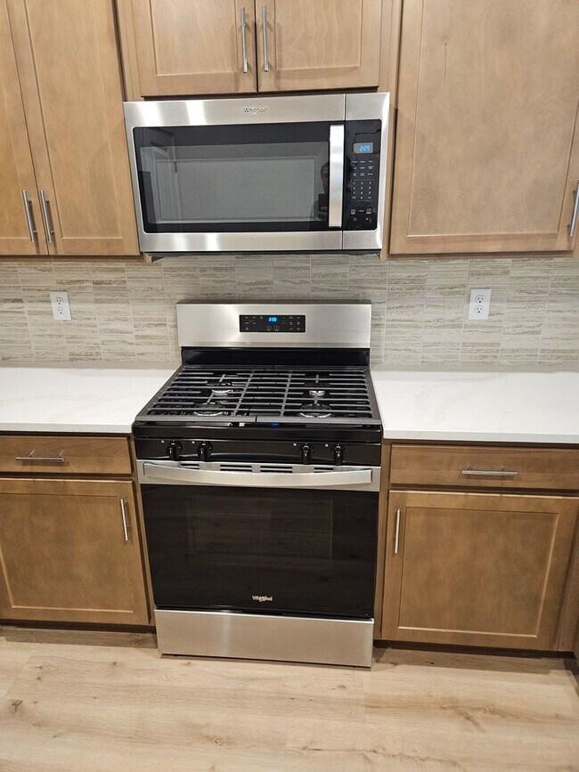 Building Photo - Stunning Brand New Home Close To Lowry & DIA