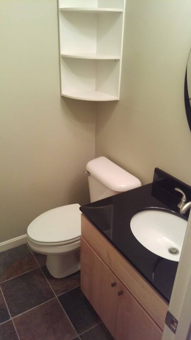 Guest bath - 1800 Douglas Ave