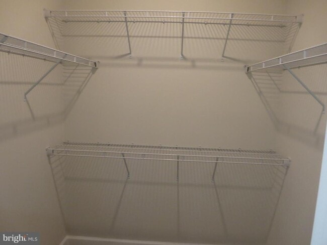 Building Photo - 3062 Wild Blue Indigo Ct