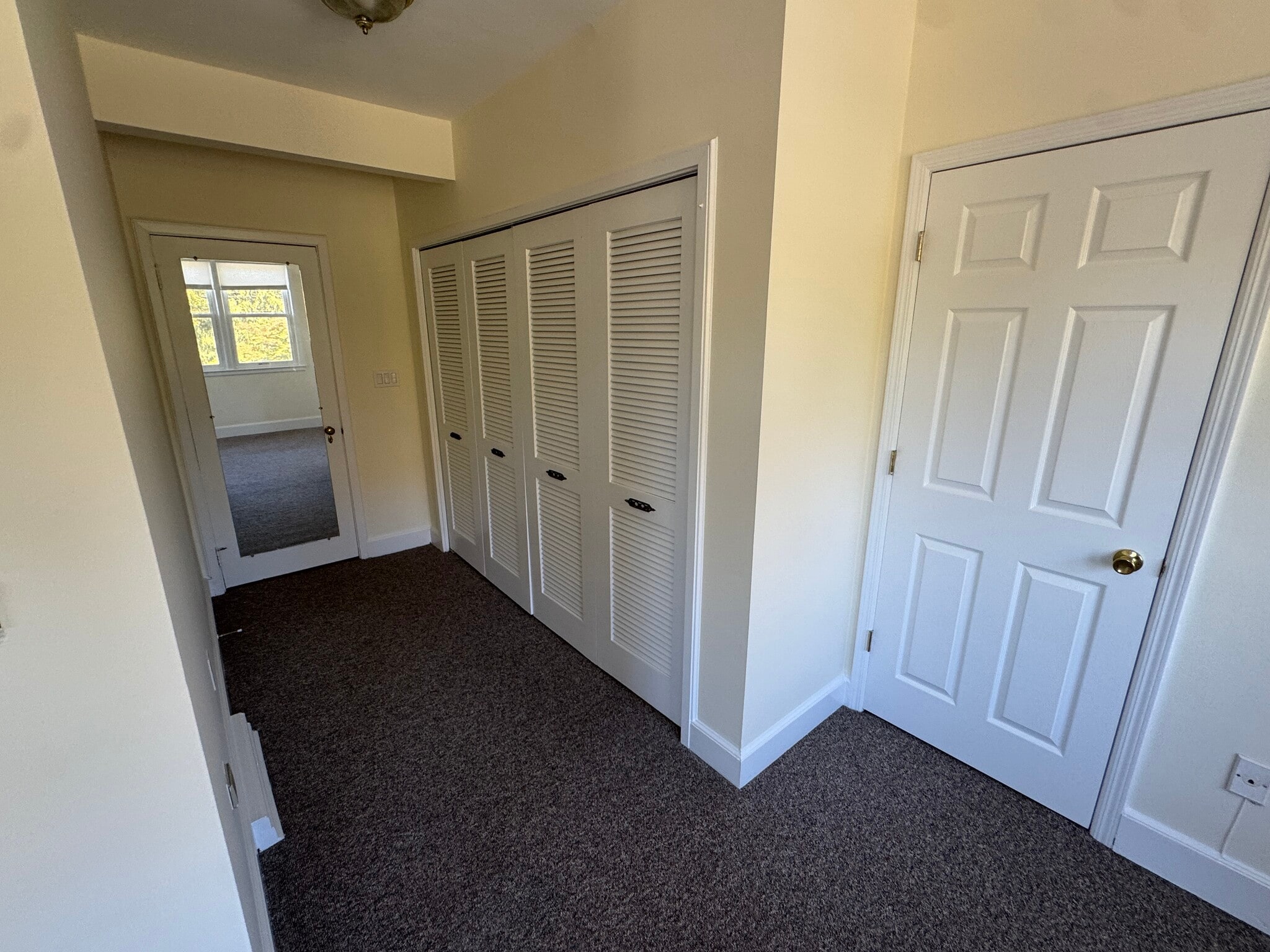 Primary Closet - 203 Lawrence Ave