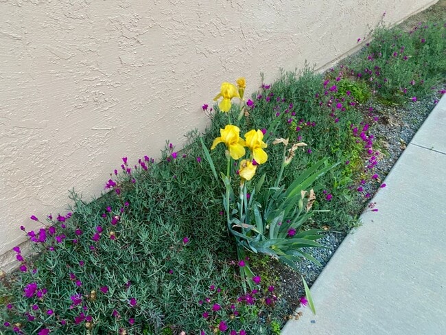 Building Photo - RB Senior 55+ Community 2 Bed +Huge bonus room 2 Baths House $3990