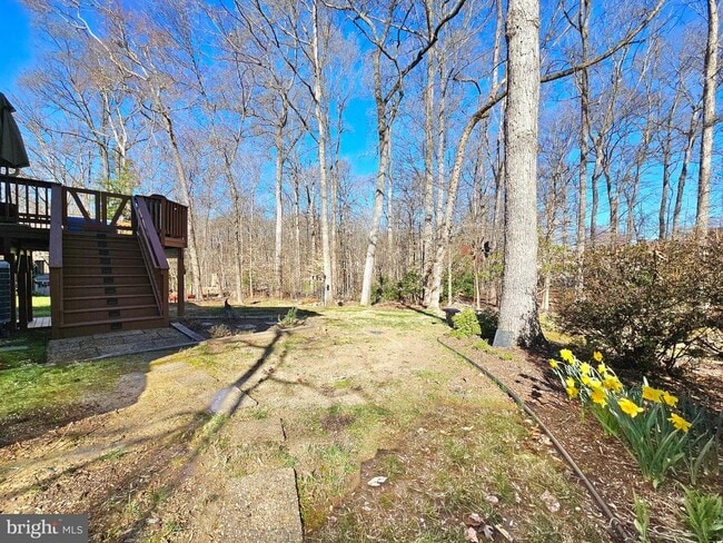 Building Photo - 11930 Cotton Mill Dr