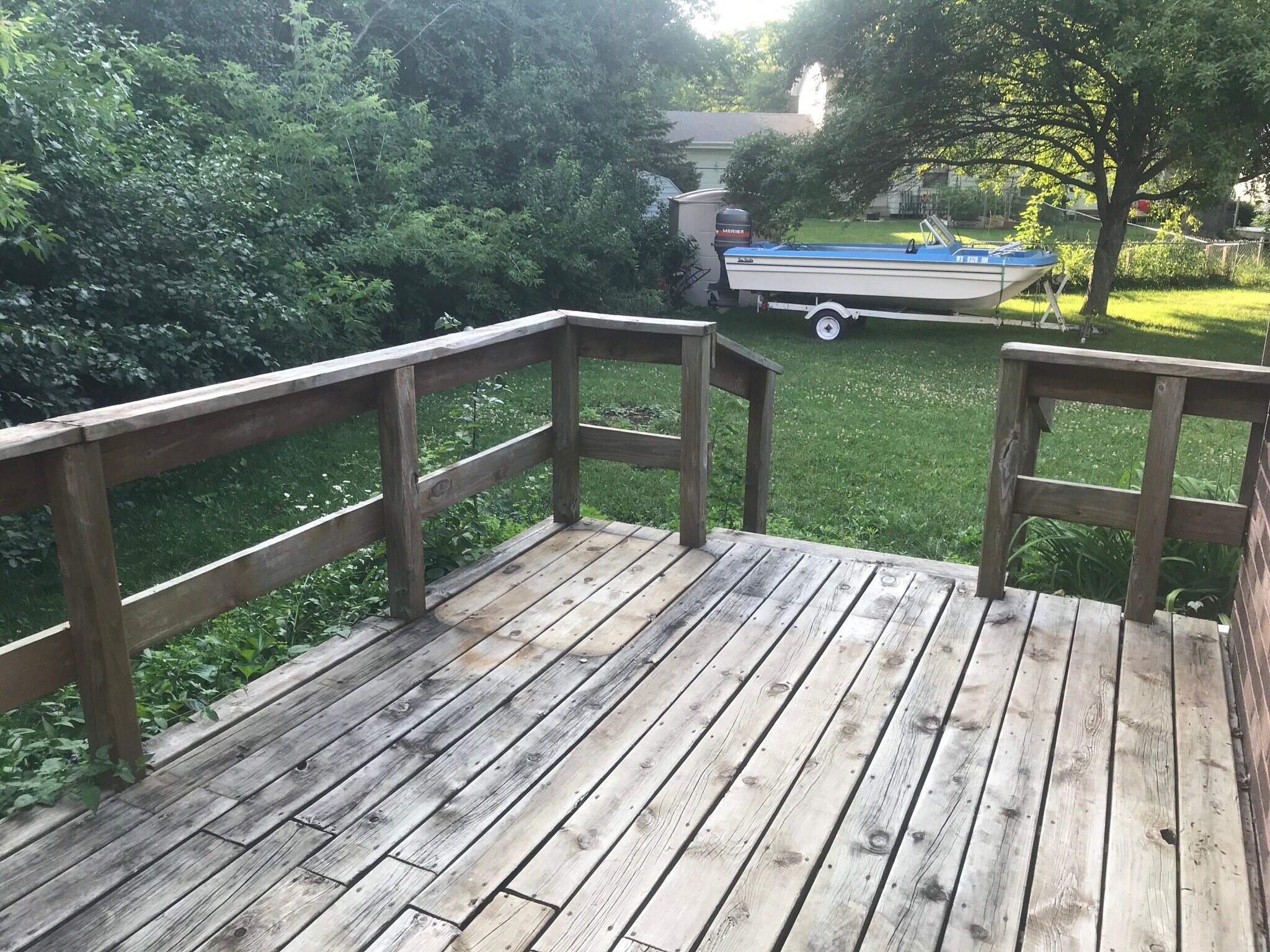 Backyard - 2711 Albany Ct