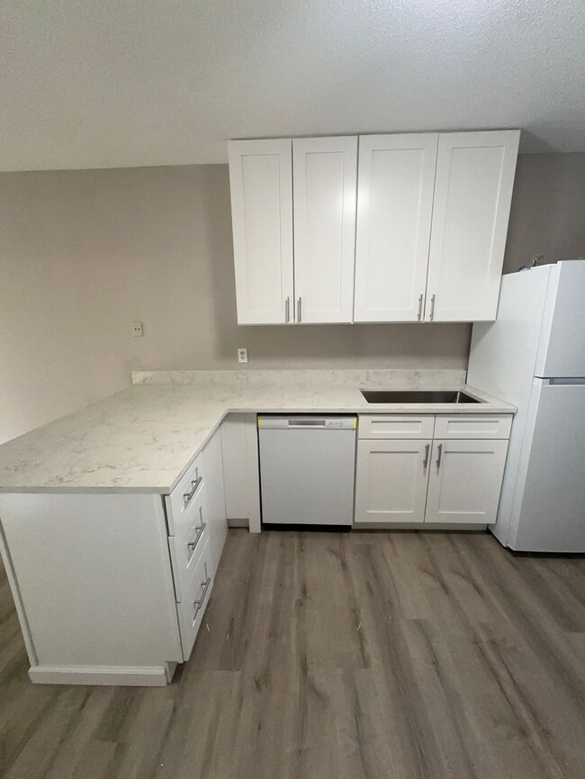 Building Photo - Fully Renovated 3 bedroom 2 bathroom Duple...