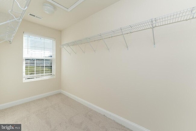 Building Photo - 3679 Duckhorn Way