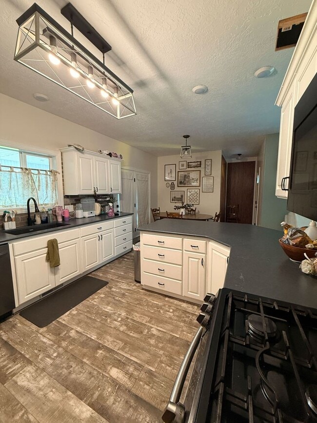 Building Photo - 304 Palomino Dr