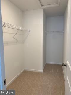 Building Photo - 806 Mayer Pl