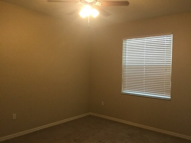 Building Photo - 3709 Cinnamon Fern Loop