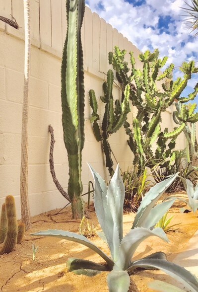 cactus garden - 2566 S Spaulding Ave