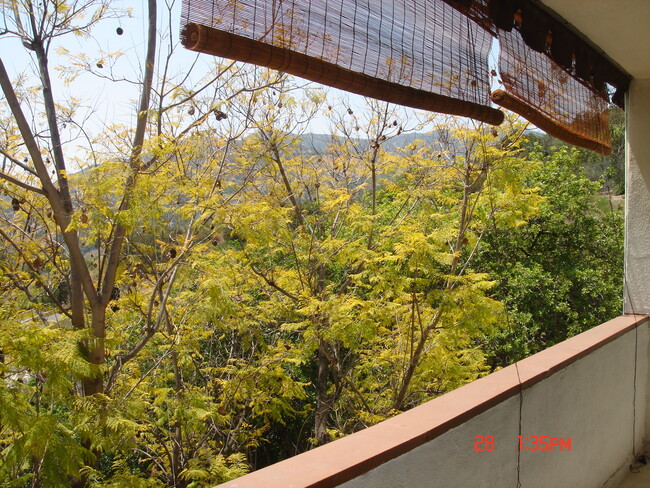 Balcony to the right - 1935 Alpha Rd