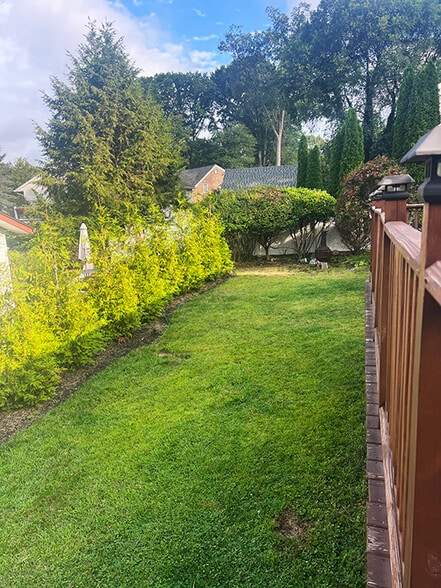 Rear Yard - 18 Hillside Ter